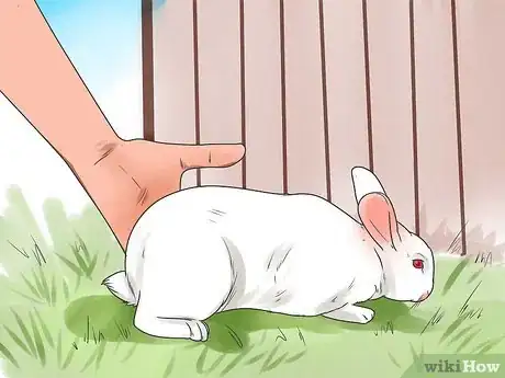 Image intitulée Breed Rabbits Step 19