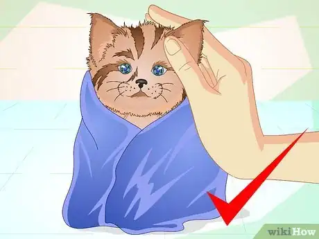 Image intitulée Get a Sick Kitten to Eat Step 10