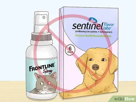 Image intitulée Get Rid of Fleas on Rabbits Step 4