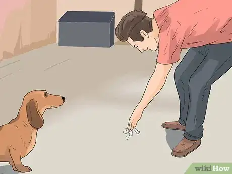 Image intitulée Catch a Stray Dog Step 5