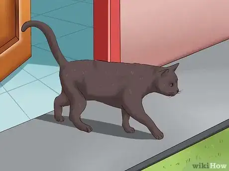 Image intitulée Stop a Cat from Clawing Furniture Step 15