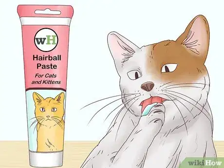 Image intitulée Help a Cat Cough Up a Hairball Step 1