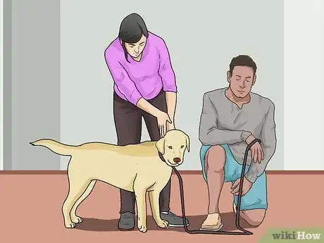 Image intitulée Train a Dog to Come Step 15
