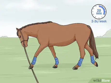 Image intitulée Lunge a Horse Step 18