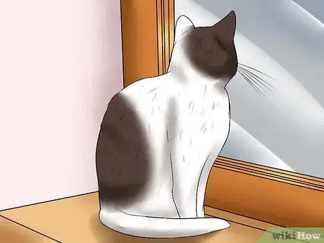 Image intitulée Care for a Cat with Feline Leukemia Step 11