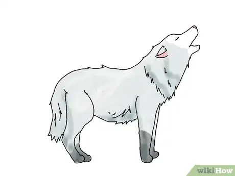 Image intitulée Draw a Wolf Step 17