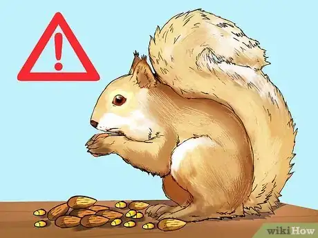 Image intitulée Keep a Pet Squirrel Step 8