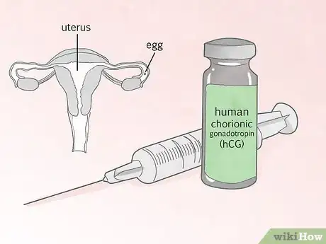 Image intitulée Increase Luteinizing Hormone Step 3