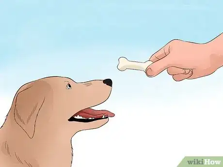 Image intitulée Approach a Shy or Fearful Dog Step 11