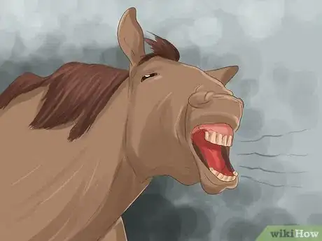 Image intitulée Show Your Horse That You Love Him Step 12