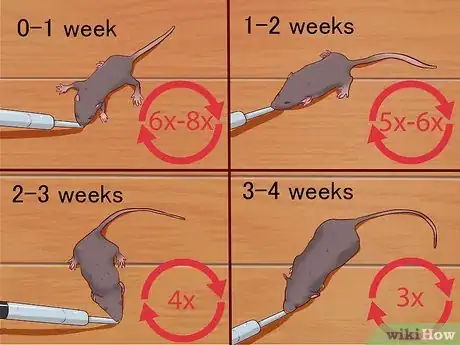 Image intitulée Care for Baby Mice Step 7
