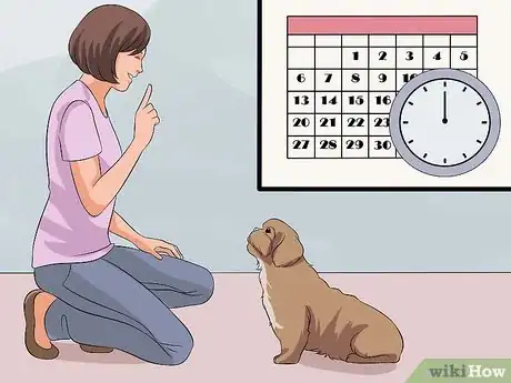 Image intitulée Train Your Shih Tzu Step 4