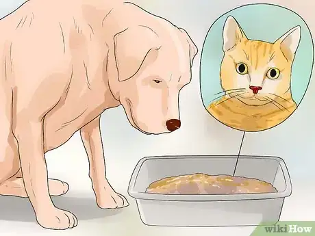 Image intitulée Make Your Dog Like Your Cat Step 6