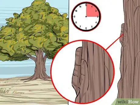 Image intitulée Trim Oak Trees Step 8
