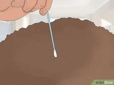 Image intitulée Remove Hair Dye from Your Scalp Step 4