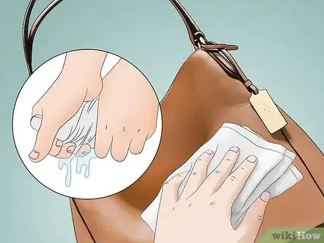 Image intitulée Clean a Coach Purse Step 10