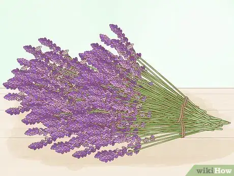 Image intitulée Harvest Lavender Step 4