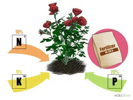 Image intitulée Fertilize Roses Step 1.png