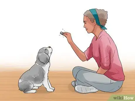 Image intitulée Make Your Dog Like Your Cat Step 8