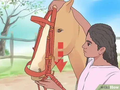 Image intitulée Bridle a Horse Step 6
