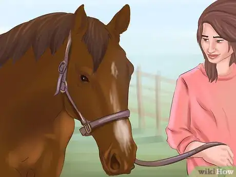 Image intitulée Get Your Horse to Trust and Respect You Step 6