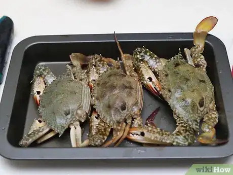 Image intitulée Cook a Crab Step 4