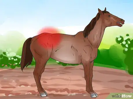 Image intitulée Tell if Your Horse Needs Hock Injections Step 8