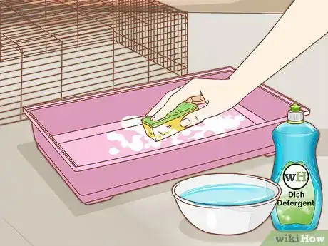 Image intitulée Care for Syrian Hamsters Step 15