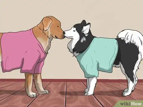 Image intitulée Introduce a New Dog to Your House and Other Dogs Step 7