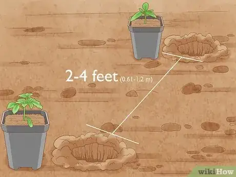 Image intitulée Stake Tomato Plants Step 1