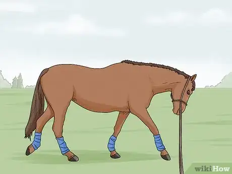 Image intitulée Lunge a Horse Step 15