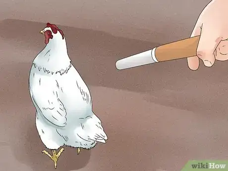 Image intitulée Repel Chickens Step 1