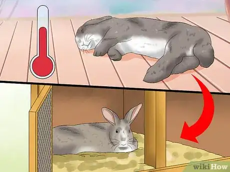 Image intitulée Treat Heat Stroke in Rabbits Step 20