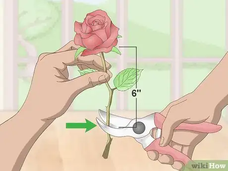 Image intitulée Preserve Flowers with Hairspray Step 4