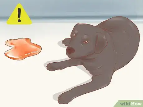 Image intitulée Know When Your Dog is Sick Step 13