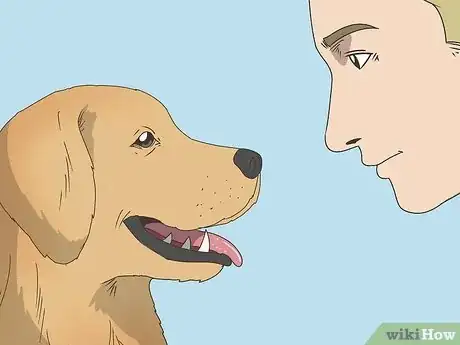 Image intitulée Keep Your Dog Calm After Neutering Step 2