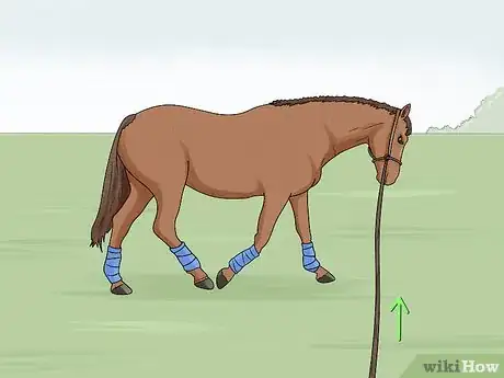 Image intitulée Lunge a Horse Step 16