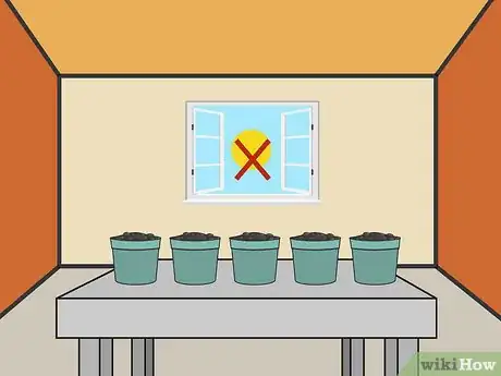 Image intitulée Plant Cannabis Seeds Indoors Step 12