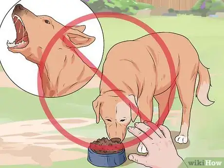 Image intitulée Handle a Dog Attack Step 14