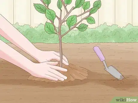 Image intitulée Save Trees Step 10