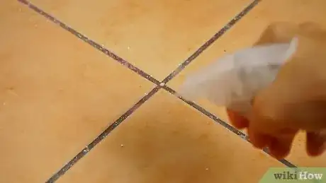 Image intitulée Clean Grout Step 4