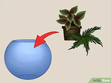 Image intitulée Build a Self Sustaining Ecosystem Step 16