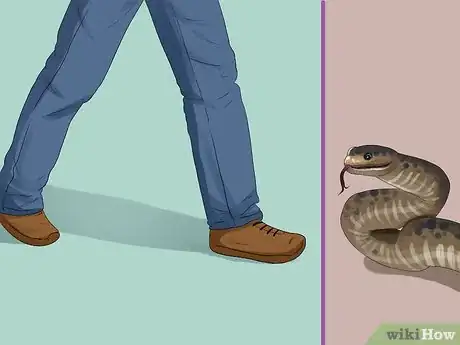 Image intitulée Survive an Encounter With a Snake Step 3