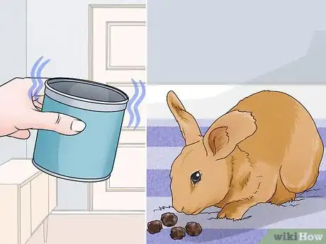 Image intitulée Stop a Rabbit's Biting Habit Step 3