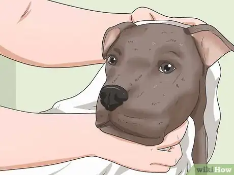 Image intitulée Give Your Large Dog a Bath Step 19