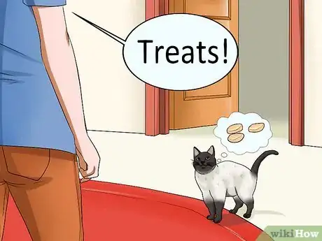 Image intitulée Train Your Cat to Come to You Step 3