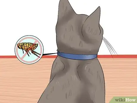 Image intitulée Check Cats for Fleas Step 12