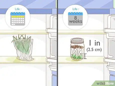 Image intitulée Grow Leeks Step 12