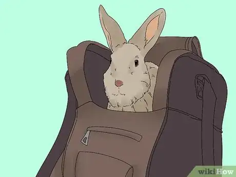 Image intitulée Pick up a Rabbit Step 13