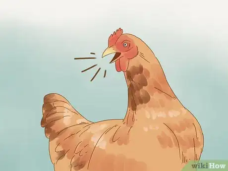 Image intitulée Tell if a Chicken is Sick Step 9